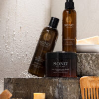 Sono - Volume 2